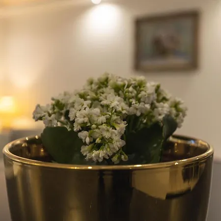 Maison Des Compagnons Apartment