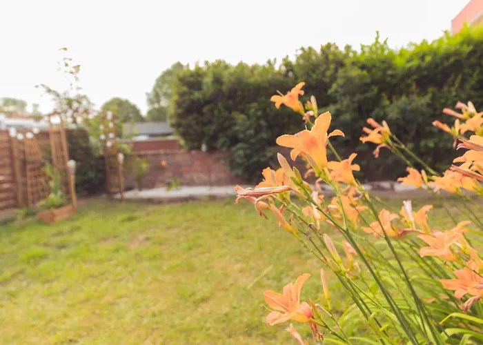 Apartment Maison Des Compagnons